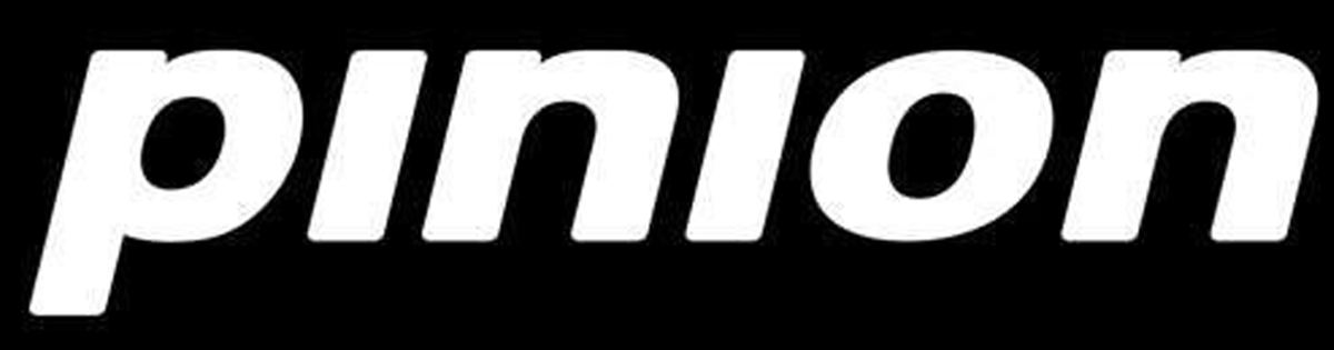 Logo Pinion